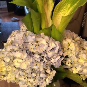 Meet your Posher, Sydney